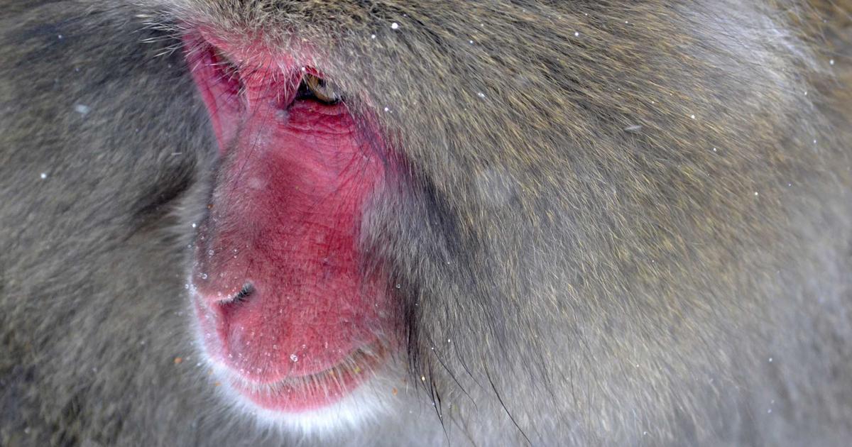 Presentation and collaboration — blog cover